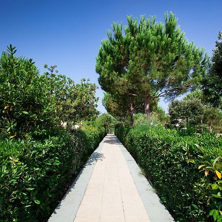 Residence Delle Gorette 切齐纳的码头 外观 照片